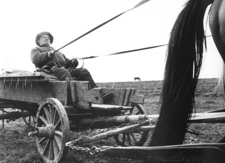 Ružové sny Juraja Nvotu