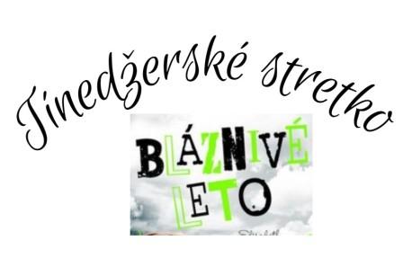 Tínedžerské stretko - Debata o knihe Bláznivé leto