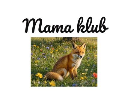 Mama klub - Návšteva